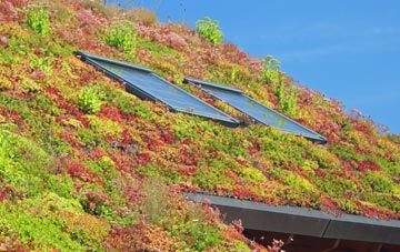 Baintown living roof systems
