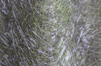 Baintown fibreglass roof work